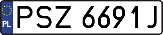 PSZ6691J