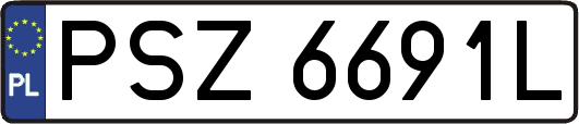 PSZ6691L