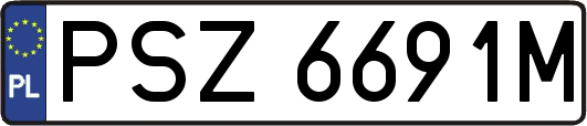 PSZ6691M