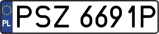 PSZ6691P