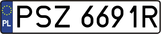 PSZ6691R