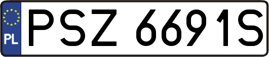 PSZ6691S