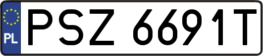 PSZ6691T