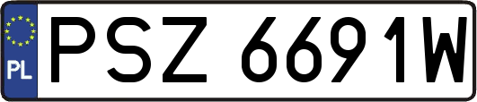 PSZ6691W