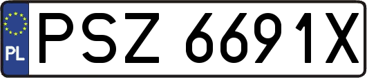 PSZ6691X