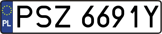 PSZ6691Y
