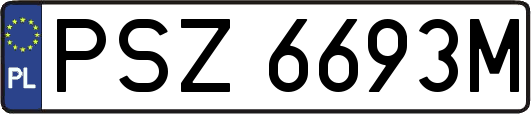 PSZ6693M