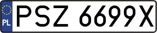 PSZ6699X