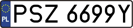 PSZ6699Y