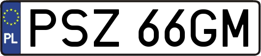 PSZ66GM