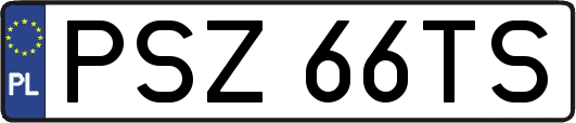 PSZ66TS