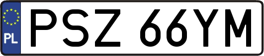 PSZ66YM