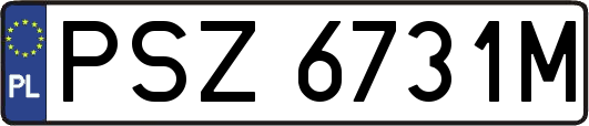 PSZ6731M
