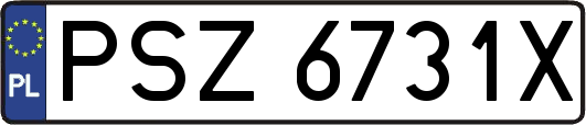 PSZ6731X