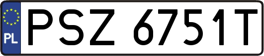 PSZ6751T
