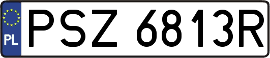 PSZ6813R