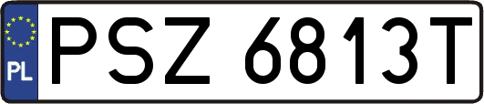 PSZ6813T