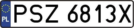 PSZ6813X