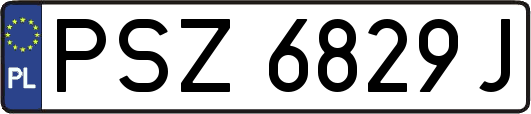 PSZ6829J