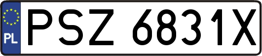 PSZ6831X