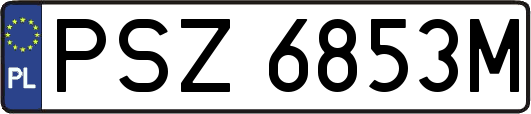 PSZ6853M