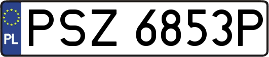 PSZ6853P