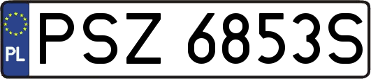 PSZ6853S