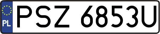 PSZ6853U