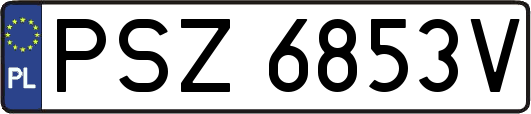 PSZ6853V