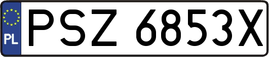 PSZ6853X