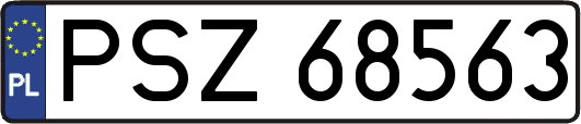 PSZ68563