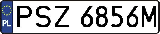 PSZ6856M