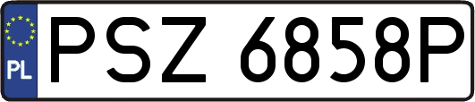 PSZ6858P