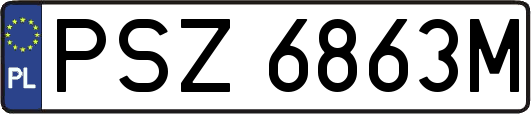 PSZ6863M