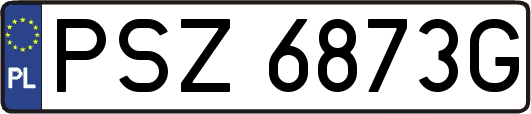 PSZ6873G
