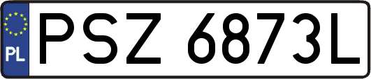 PSZ6873L