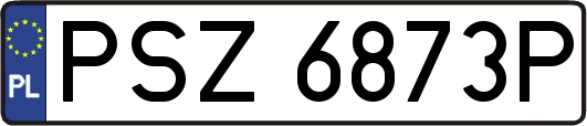 PSZ6873P