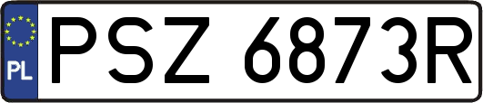 PSZ6873R