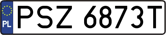 PSZ6873T