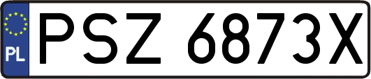 PSZ6873X