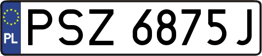 PSZ6875J