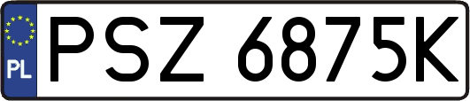PSZ6875K