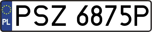 PSZ6875P