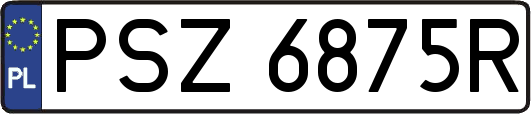 PSZ6875R