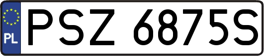 PSZ6875S
