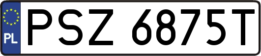 PSZ6875T