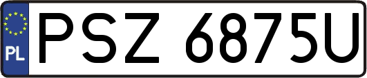 PSZ6875U