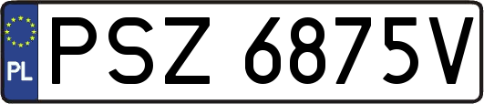 PSZ6875V