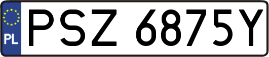 PSZ6875Y