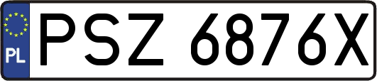 PSZ6876X